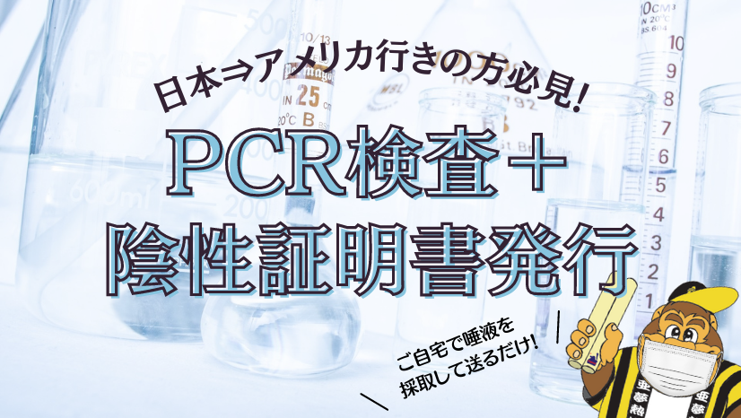 PCR検査