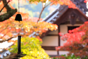 柳谷観音・楊谷寺