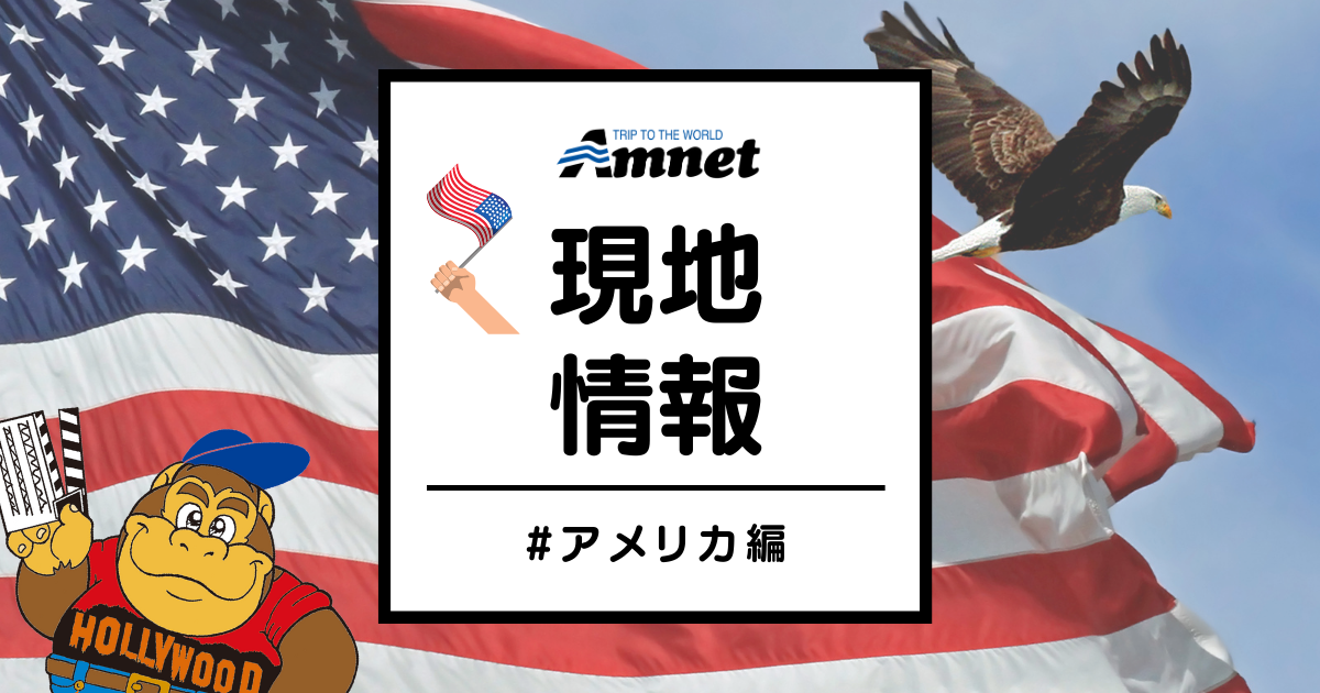 アメリカ情報