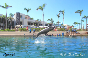 Hyatt Ziva Cancun