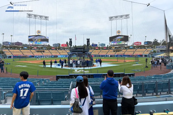 MLB観戦