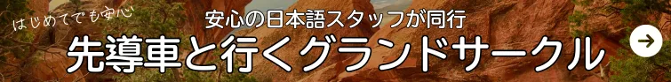 アメリカキャラバン隊ツアー