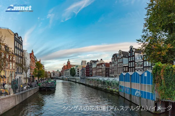 シンゲル花市場（Bloemenmarkt）