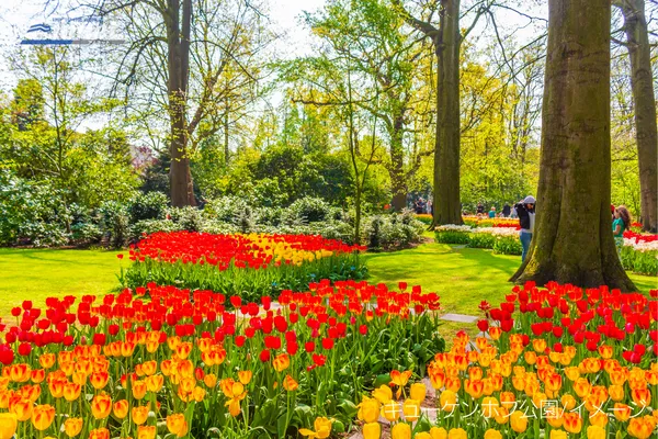 キューケンホフ公園