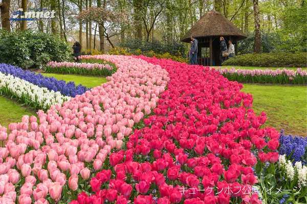 キューケンホフ公園