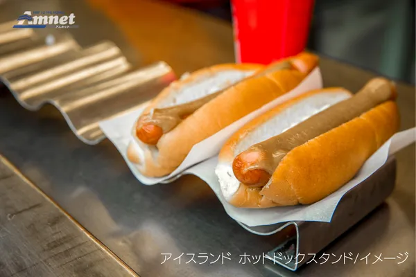 ホットドック(レイキャビク)