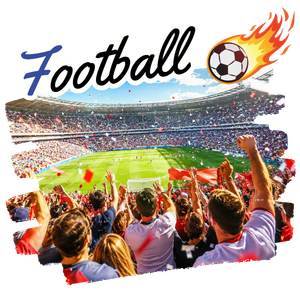 サッカー観戦