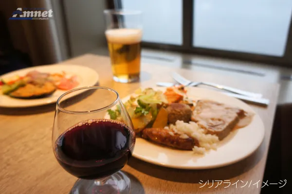 ストックホルム＆ヘルシンキ2都市周遊8日間｜豪華客船シリヤラインで巡る北欧クルーズ旅×好立地ホテル＆自由アレンジOK【羽田発】